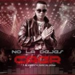 J Alvarez - No la Dejes Caer MP3